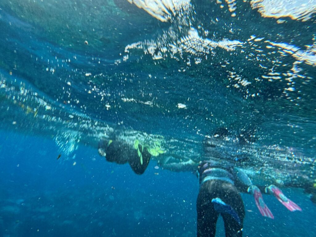 西表島 バラス島 シュノーケリング