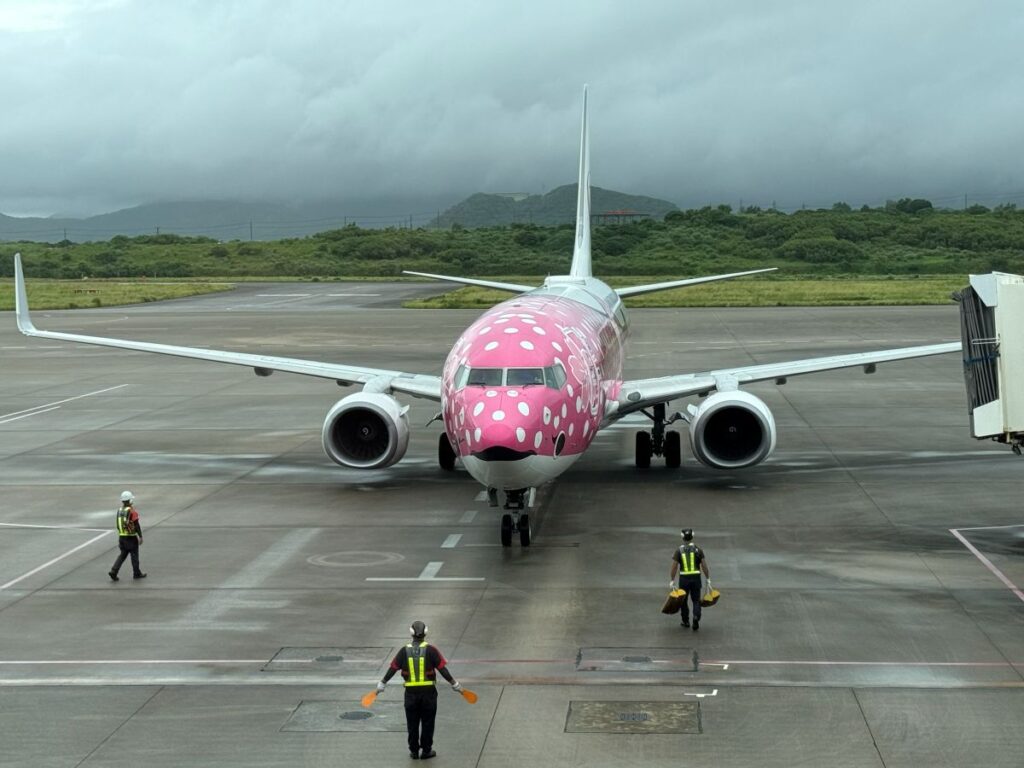 西表島飛行機ジンベエジェット