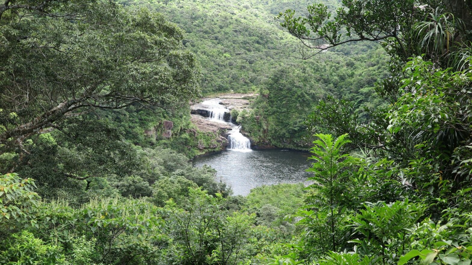 西表島ホテル ジャングル 滝 トレッキング